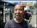sharks on japanese beach