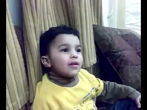 عايز أتجوز هه زوجوه