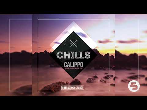 Calippo - Never Really Liked You