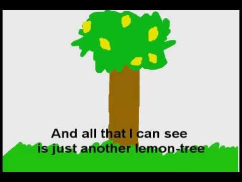 how to go a lemon tree