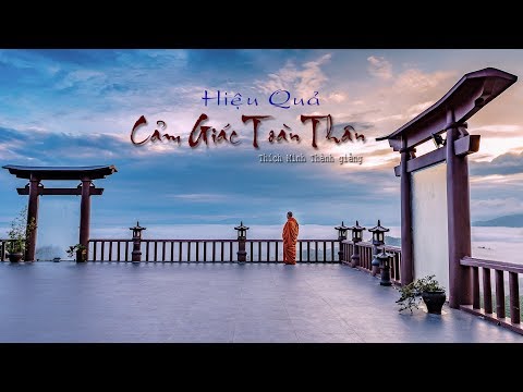 Hiệu Quả Cảm Giác Toàn Thân Hiệu Quả Cảm Giác Toàn Thân