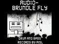 Audio - Brundle Fly