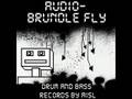 Audio - Brundle Fly