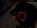 LOLA MAE
