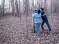 videos de THE TREE THAT WONT FALL