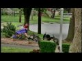When Wild Turkeys Attack Indian People