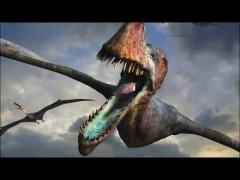 <p>Respiration in Birds</p>
 video thumbnail