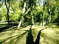 final dos videos do parque