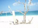 TURN DOWN THE WORLD TONIGHT by JOURNEY featuring BORACAY ISLAND, PHILIPPINES