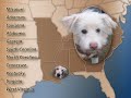Tour Highlights Plight of Chained Dogs Nationwide