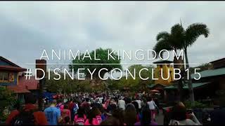 Animal Kingdom