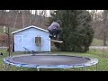 skate-style.html