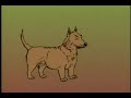 Classical Conditioning - Ivan Pavlov Classical Conditioning - Ivan Pavlov