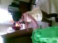 videos de Zoey rocky.mp4