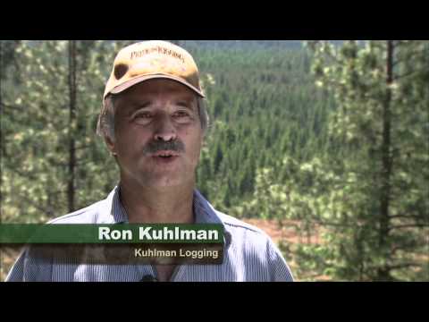 Good Paying Jobs in Idaho’s Wood Products Industry | idaho@work