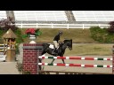 GOlas - Junior Amateur Owner - Level 7 GOlas - Junior Amateur Owner - Level 7