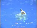Spanish Team Synchronized Swimming