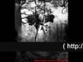 V�deo Teto de Vidro ( Pitty ) M�sica Rock 