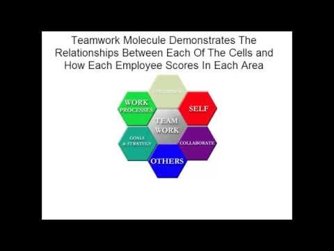 how to assess teamwork