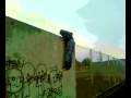 videos de le groupe