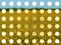 photographic series of a field of yellow flowers cinematically altered and set to 