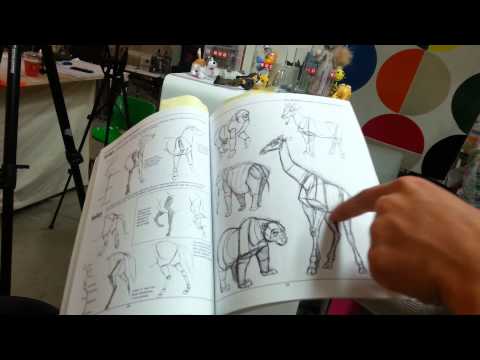 video-linktoworks-How to Draw Animals Book for Animators