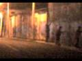 videos de pecko,yocke y karpo