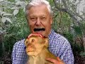 A leg�rtelmesebb vide� a neten