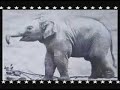 Video baseado no livro um dia daqueles Autor Bradley Trevor Greive,
interpretado por Benny Coquito e Produzido por Max de Oliveira