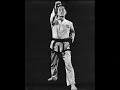 General Choi TKD BADEN Budo Show Video