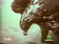 videos de L'aquila torna a volare [Pt 1]