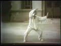 Li Bingci - Wu Style Taiji (2of2)