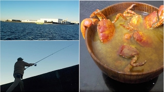 市川港で釣り&カニ、穂先修理して、美味しい味噌汁ができました!!青イソも元気です