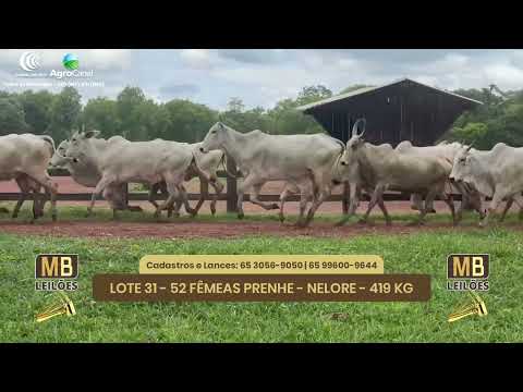 527� LEIL�O VIRTUAL MB LEIL�ES