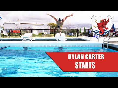 Padroneggiare l’inizio del nuoto: come si prepara l’Olimpo Dylan Carter per le Olimpiadi di Parigi | Il club di gara Padroneggiare l’inizio del nuoto: come si prepara l’Olimpo Dylan Carter per le Olimpiadi di Parigi | Il club di gara