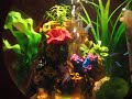 Baby Biorb