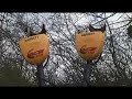 Best Beginers metal detector