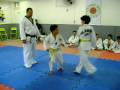exame tkd  miguel 8
