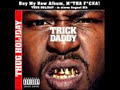 teledysk, klip, Trick Daddy,- Can't Fuck With the South