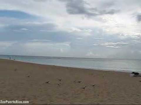 0 Playa Flamenco, Puerto Rico