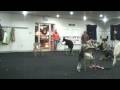 Obedience Class at Homeland K-9 Dog Training Academy