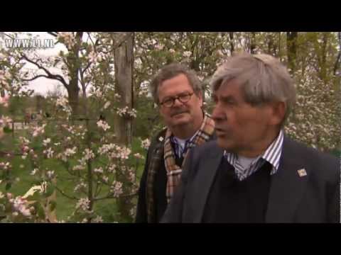 L1 KOPlopers - Bomen op de Floriade