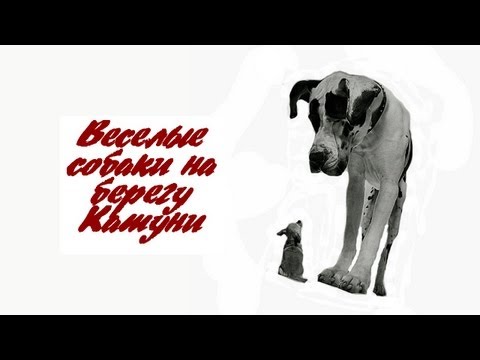 YouTube Трейлер