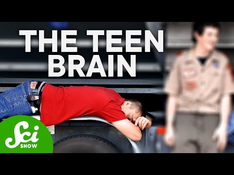 The Teenage Brain Explained