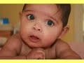 Sara's adoption decree