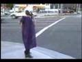 Ninja Turtle Sighting II