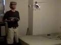Honey-bee-cp2-indoor