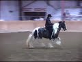 NE Friesian Horse Club - Fantasy Freestyle Gypsy Cob 7/31/05 NE Friesian Horse Club - Fantasy Freestyle Gypsy Cob 7/31/05