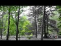 Click here to watch this video SONY DSC HX-200V.mpg