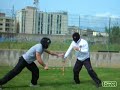 JEETKUNEDO Fight Combat Arti marziali